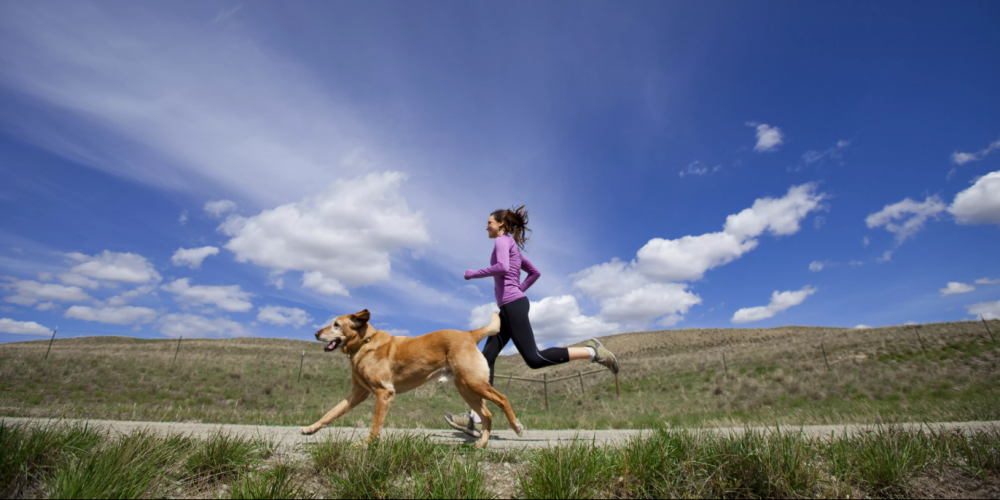 11 Reasons to Start Running